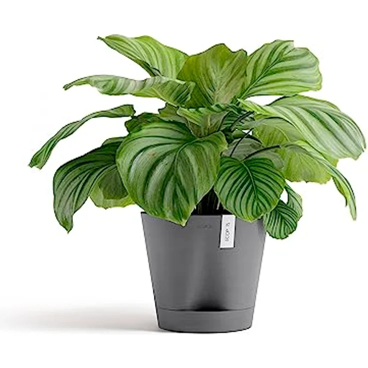 ECOPOTS Blumentopf Venice 2 mit Bewässerung Grau - Durchmesser Ø 30 cm rund groß - Pflanzentopf aus Recycling Kunststoff - Übertopf mit Wasserversorgung modern für Indoor und Outdoor – Bild 2