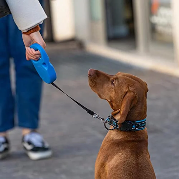 Ferplast Hundeleine Flippy ONE, Rollleine für mittelgroße Hunde bis 25 kg, ausziehbares Gurtband bis 5 m, ergonomischer Knopf, hellblau – Bild 5