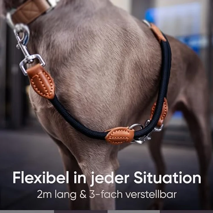 FREUDENTIER® Hundeleine für mittelgroße & große Hunde – 2m Länge & 3-Fach verstellbar - Führleine aus robustem Nylon abgerundet mit stilvollen braunen Lederelementen (schwarz) – Bild 3