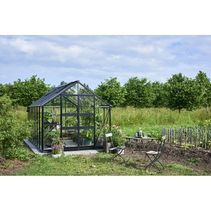 Eden Gewächshaus Blockley 814 Schwarz