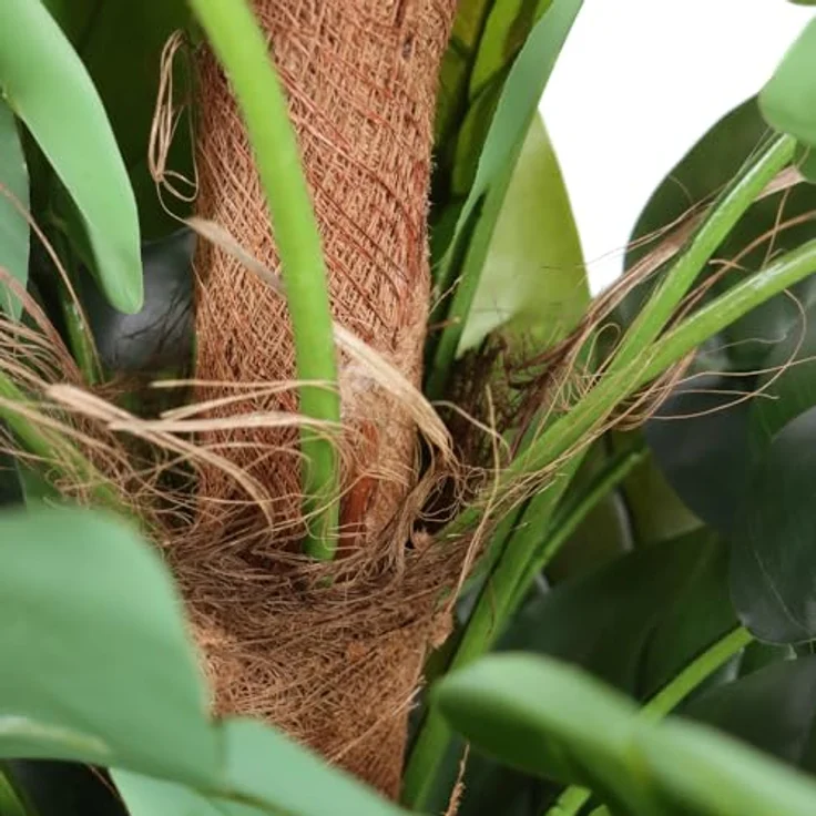 hjh OFFICE Kunstbaum 155cm EPIPREMNUM Künstliche Deko Pflanze im weißen Topf, Kunstpflanze groß, exotische Efeutute für Innen – Bild 3