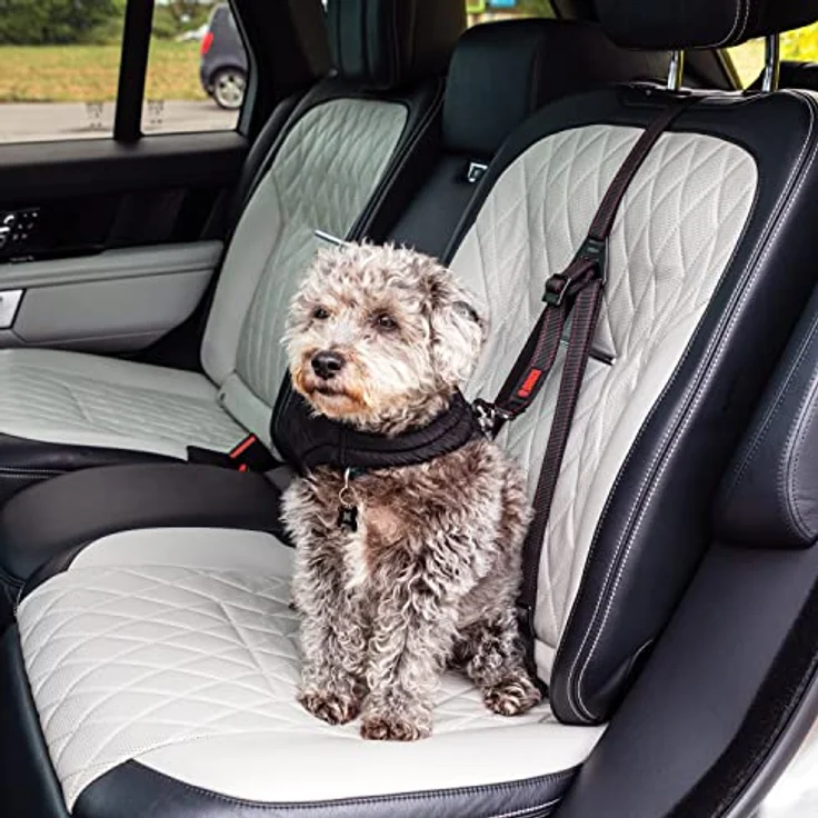 KONG Hunde-Sicherheitsgeschirr KONG Travel Ultimative Sicherheitsgurt fürs Auto – Bild 4
