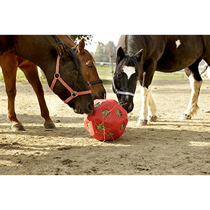 Kerbl Tier-Beschäftigungsspielzeug HeuBoy rot Futterspielball Spielball 70 cm mit 19 Fressöffnungen - Kerbl 3210386 – Bild 4