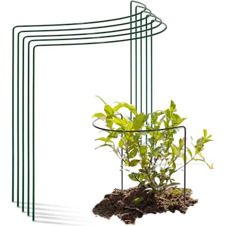 Novatool 5 Strauchstütze Metall halbrund, 40 cm hoch, Ø35 cm, wetterfest, robust, geeignet für Rosen und schwere Blüten – Bild 1