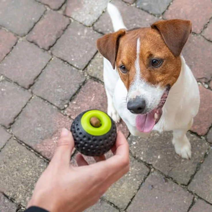 Ferplast CHEWA Boing Mittelgroß Futterball für Hunde, Schwarz, aus strapazierfähigem, ungiftigem, bissfestem Material, Zahnhygiene des Hundes, Springt und Schwimmt – Bild 5