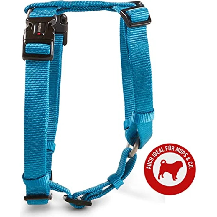 WOLTERS - Geschirr Professional für Mops&Co. - Gr.M 40-55cm x 15mm - Aqua – Bild 4