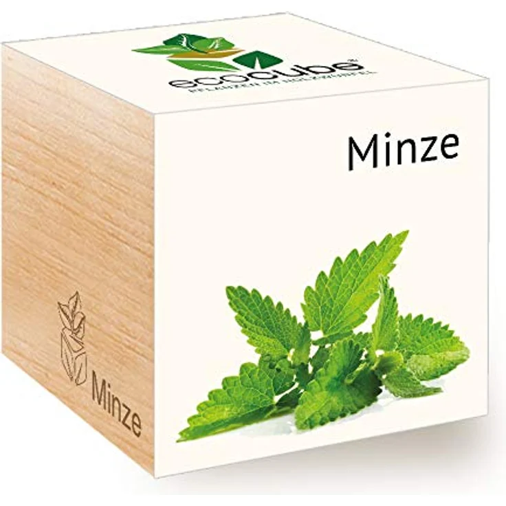 Feel Green Ecocube Minze Anzuchtset, Nachhaltiges Grow Your Own Kit im Holzwürfel, 100% Eco Friendly, Made in Austria – Bild 1