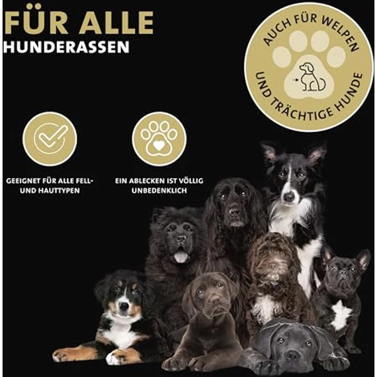 Peticare Anti-Parasiten Mittel für Hunde-Ohren | Gegen Ohrmilben Räude Pilze | lindert Juckreiz & fördert Regenerationsprozess | einzigartiges PRS® System für Lange Wirkung - petDog Health 2108 – Bild 3