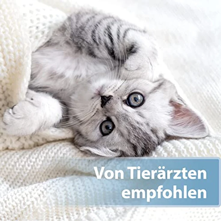 Felisept Ohrpflege Finger-Pads für Katzen, 50 Stück, zur sanften Reinigung und Pflege von Katzenohren, desodorierend und tierärztlich empfohlen – Bild 5