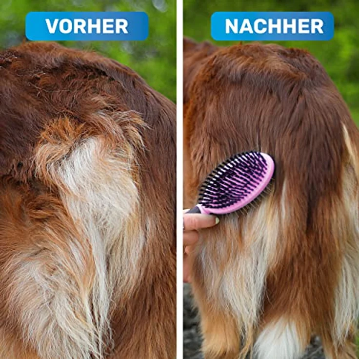 BluePet "DoppelDecker" 2in1 Hundebürste für Langhaar & Kurzhaar - Auch für Welpen & Katzen - Glätten, Entwirren, Ausbürsten - Allround-Talent für die tägliche Fellpflege – Bild 3