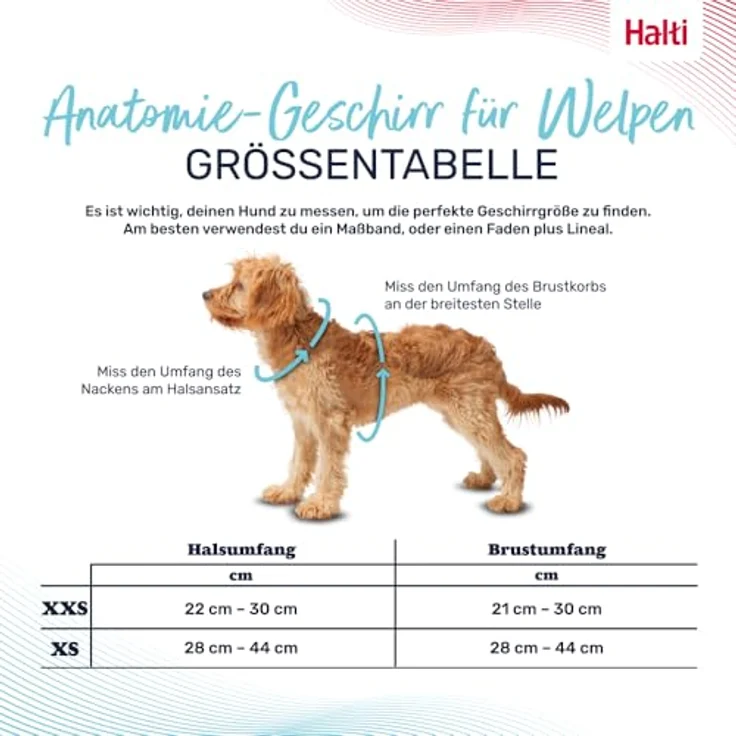 Company of Animals HALTI Anatomy Geschirr für Welpen, Größe XXS, Grau, mit 4 Einstellungspunkten und 360°-Reflektoren – Bild 4