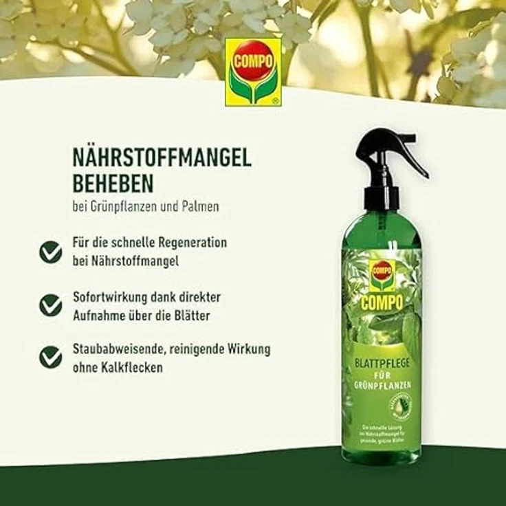 Compo Blattpflege für Grünpflanzen Spray, 500 ml – Bild 9