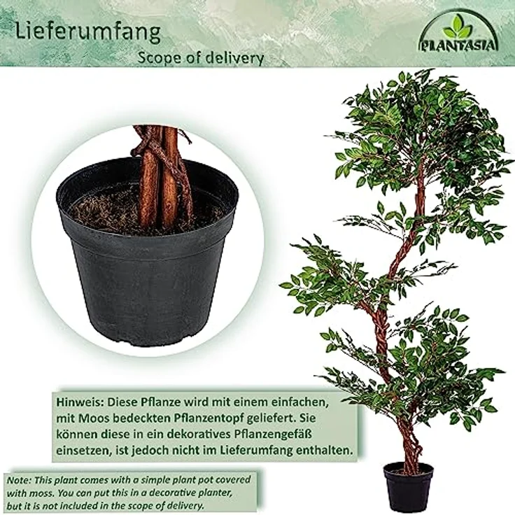 PLANTASIA Kunstpflanze Schnurbaum 160 cm, Authentisch gestaltet mit Echtholzstamm, Schwarzer Untertopf – Bild 3