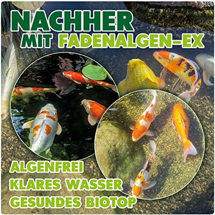 AQUALITY Gartenteich Fadenalgen-EX Flüssig (Flüssiger Fadenalgenvernichter, Algenmittel, Algenentferner. Löst Sich schnell im Teich auf), Inhalt:5 Liter – Bild 4