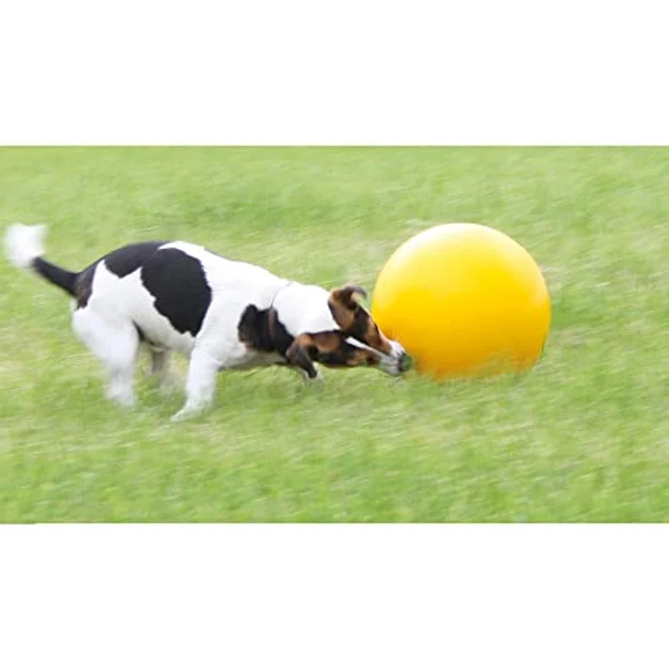 Schecker Hundespielzeug - Treibball in Blau für Hunde aus hartem Kunststoff - ca. 20 cm – Bild 3