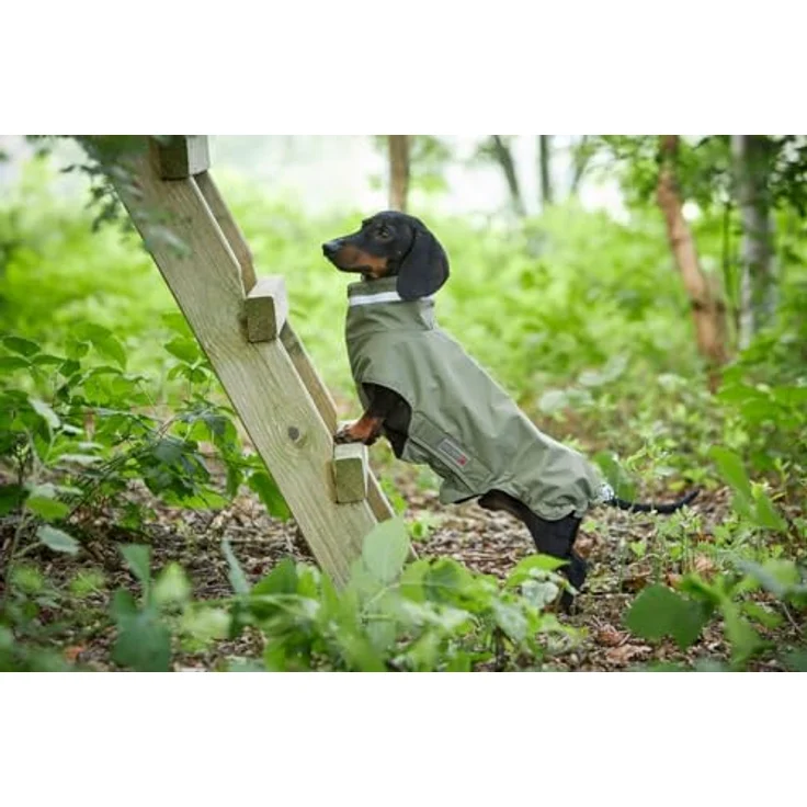 Wolters Outdoorjacke Modern Classic für Dackel, wasserdicht und mit kuscheligem Innenfleece, olive – Bild 2