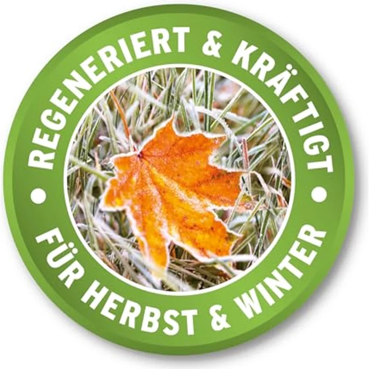 Substral Herbst Rasendünger 6,25 kg – Bild 4