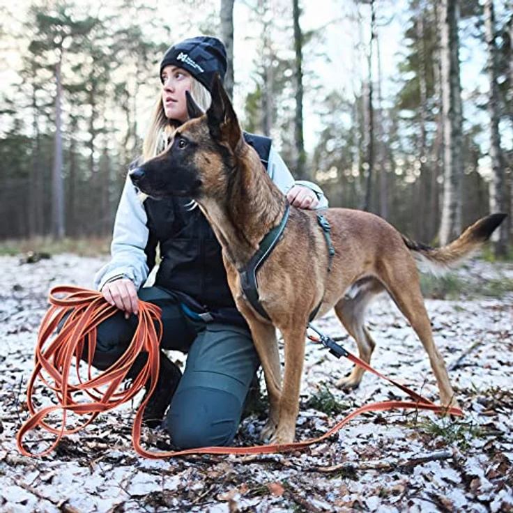 Non-stop dogwear Friction Long line, Schleppleine mit Gummieinsätzen, 10m Länge, 20mm Breite, Twistlock-Karabiner – Bild 4