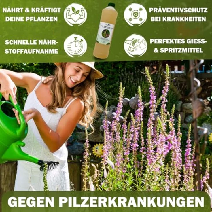 GreenPanda Schachtelhalm Extrakt 3L - Ackerschachtelhalm Konzentrat für Rosen & Tomaten, natürlicher Pilzschutz gegen Mehltau & Krankheiten – Bild 5