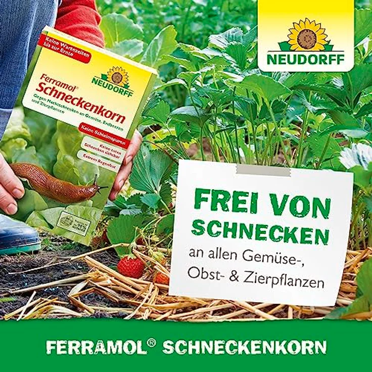 Neudorff Ferramol Schneckenkorn 2 kg gegen Nacktschnecken Eisenverbindung als Wirkstoff – Bild 6