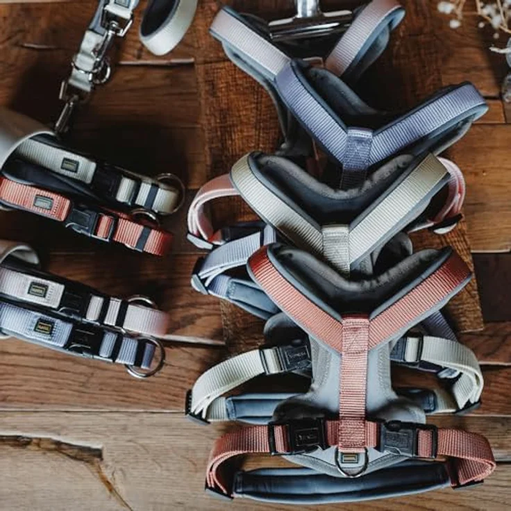 HUNTER Hundehalsung NEOPREN Vario Plus, pfirsich/grau, strapazierfähiges Nylon, stufenlos verstellbar mit Zugentlastung, Größe S/1,5 – Bild 2