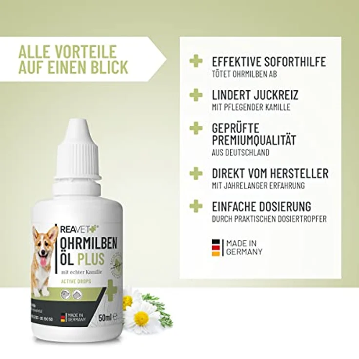 ReaVET TESTURTEIL SEHR GUT 09/23 Ohrmilbenöl Plus 50ml sofort wirksames Mittel für Hunde – gegen Ohrmilben mit Kamille für Hund, Sanfte Pflege bei Juckreiz im Ohr, Ohrentropfen Milben, Ohrenreiniger – Bild 2