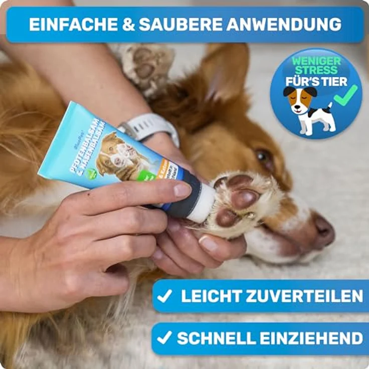 BluePet Schnelleinziehender Pfotenbalsam für Hund & Katze, 50 ml, gegen trockene, rissige Pfoten und Nasen, mit Arnika, Ringelblume & Shea, schnell einziehend ohne Fettfilm – Bild 5