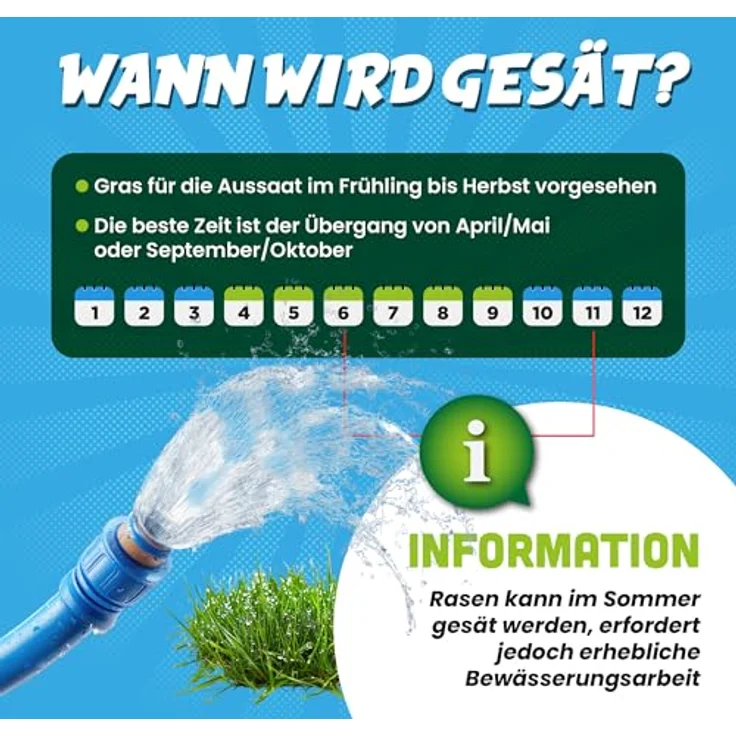ARPON Premium Rasensamen, Schnellkeimend, robust & pflegeleicht, 5kg für 200m², dichtes, sattgrünes Gras für Nachsaat und Neuansaat im Frühjahr – Bild 4