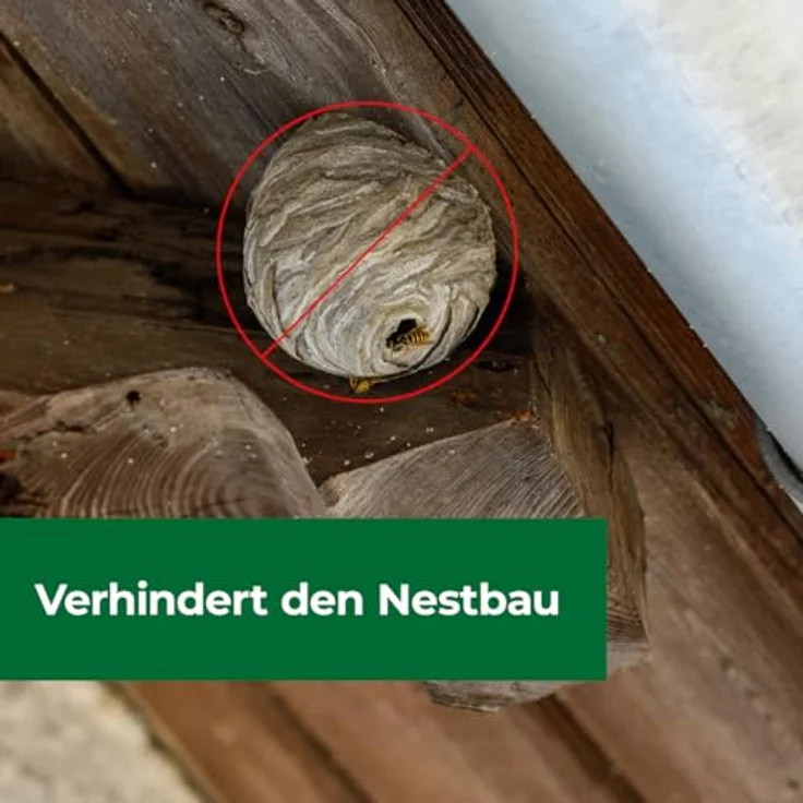PROTECT HOME Wespennest Blocker 400 ml Dose mit Sprühröhrchen, sofortiger Wirkungseintritt und nachhaltige Wirkung über mehrere Tage – Bild 5