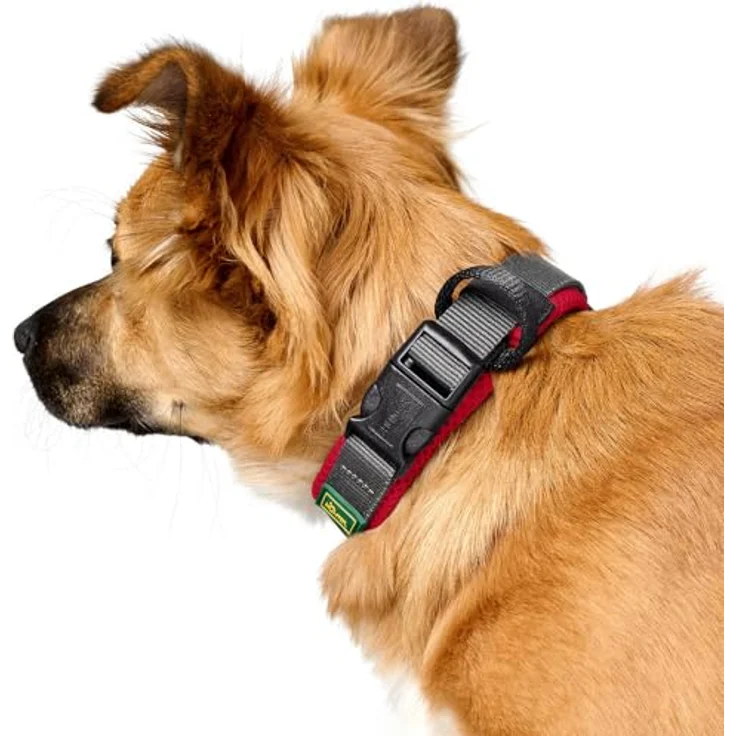 HUNTER Halsband Maldon, rot, atmungsaktives Mesh, leicht und allergikerfreundlich, Zugentlastung, integriertes Adresslabel, Größe S – Bild 4
