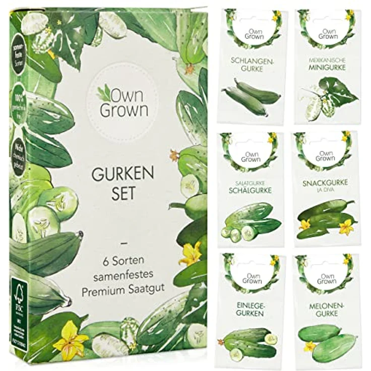Gurken Samen Set 6 Sorten Gurken Saatgut Mit Freilandgurken Samen Einlegegurken – Bild 1