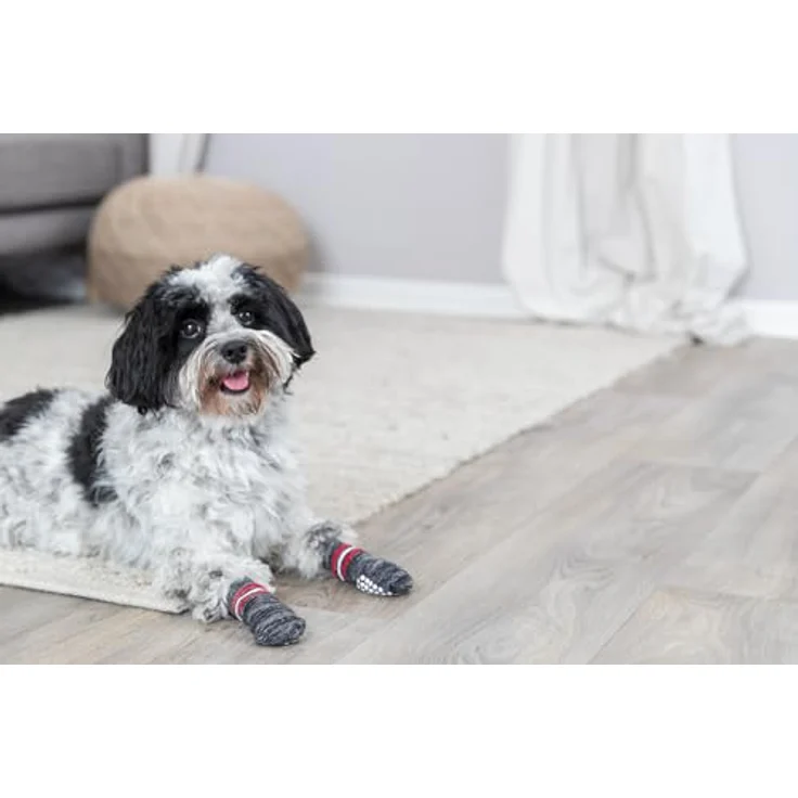 Trixie Hundesocken Anti-Rutsch 2 Stück grau XS-S – Bild 3