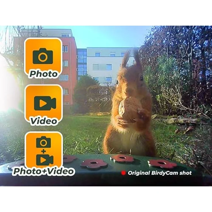 Easypix BirdyCam Futterhaus mit Kamera und Solarenergie, Automatische HD-Video- und Fotoaufnahmen, Futterspender für den Garten – Bild 4