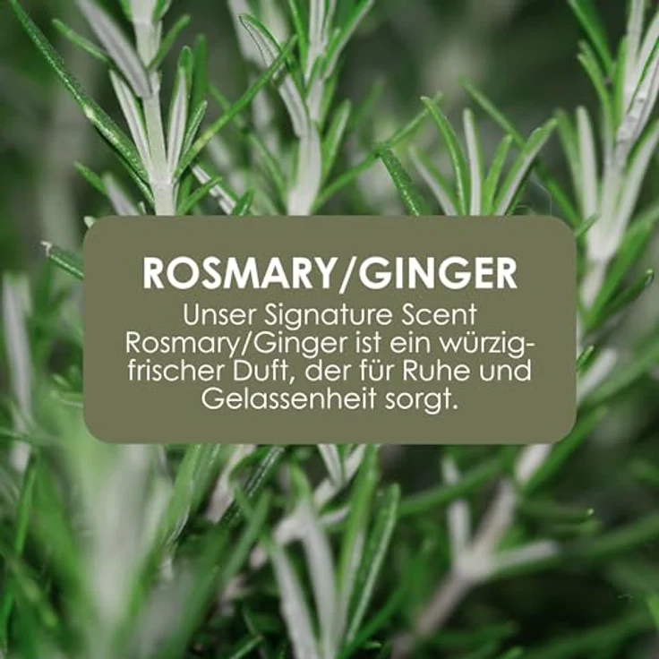 Jean & Len Handseife Rosemary & Ginger, 500 ml Flüssigseife im Nachfüllpack, ohne Parabene, Silikone & Mikroplastik, für beanspruchte Hände – Bild 5
