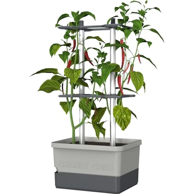 Gusta Garden Pflanzkübel CHARLY CHILI, mit stabiler Rankhilfe und Bewässerungssystem, hellgrau – Bild 1