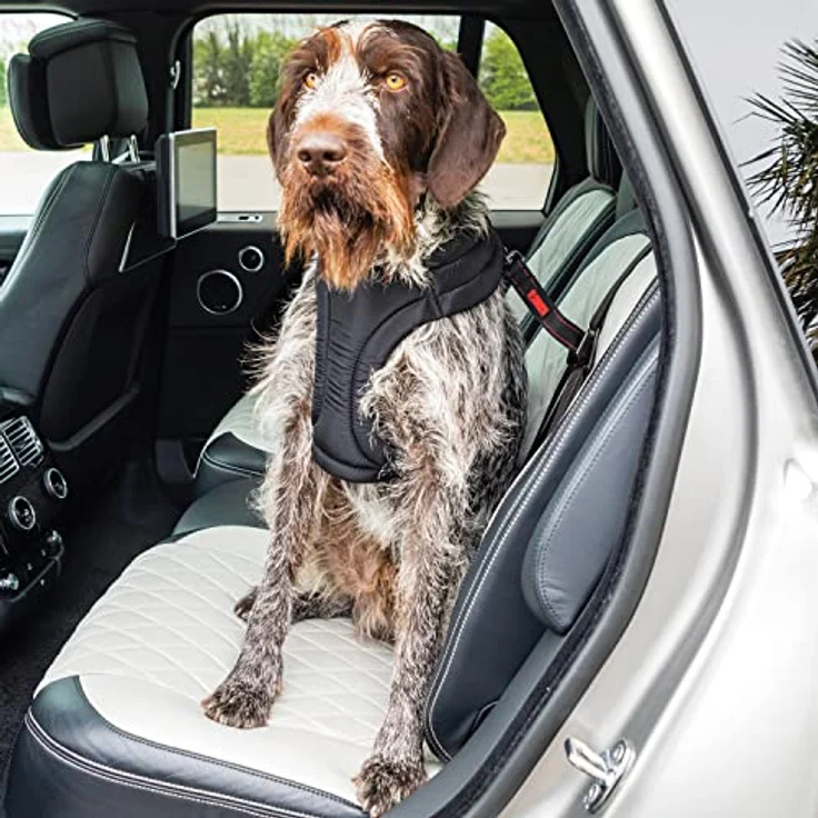 KONG Hunde-Sicherheitsgeschirr KONG Travel Ultimative Sicherheitsgurt fürs Auto – Bild 5
