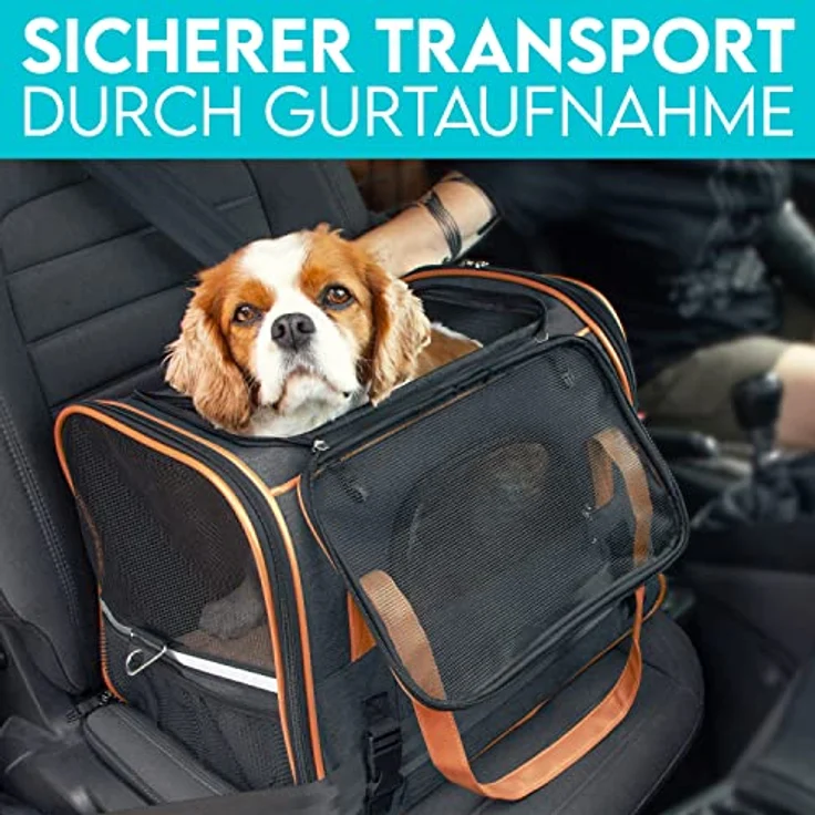 HUND IST KÖNIG® Hundetasche Katzentasche bis 6,5kg - robust & formstabil | Hochwertige Hundetragetasche | Transporttasche Katze - faltbar & leicht zu verstauen | Hundebox Auto Transportbox Katze – Bild 5