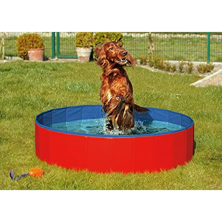Karlie Doggy (Hundepool), Hundespielzeug – Bild 2