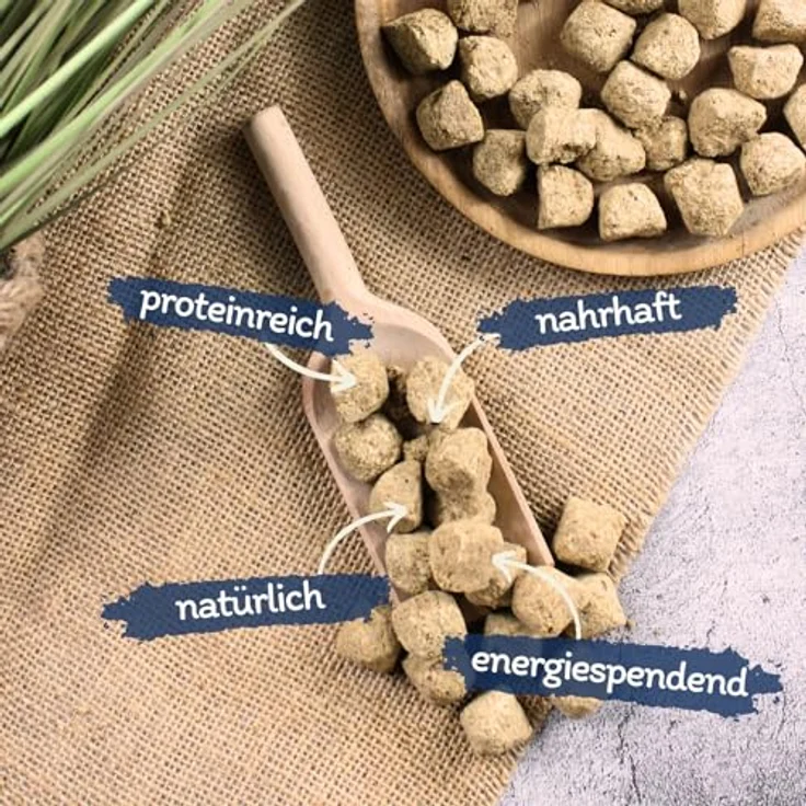 Lyra Pet® 10 kg Artemia Würfel, gefriergetrocknetes Futter aus Salinenkrebsen, reich an Proteinen (52%), Fetten & Ballaststoffen, natürliche Nahrung für Zierfische & Reptilien – Bild 2