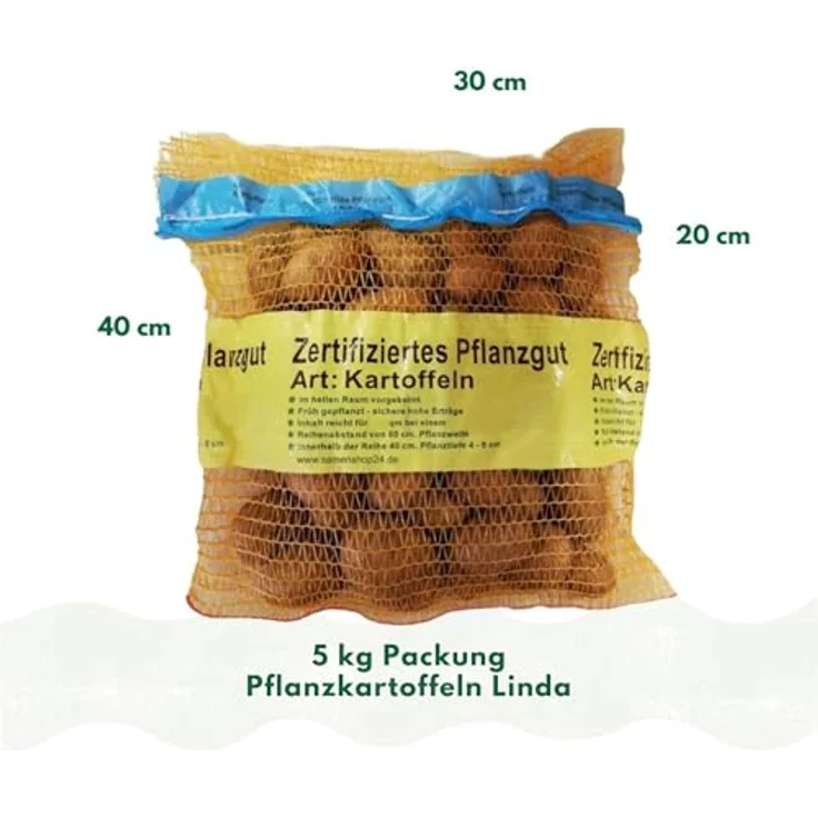 Samenshop24 Pflanzkartoffeln Linda 5 kg – Bild 3