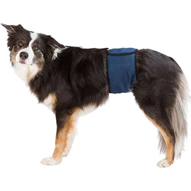 TRIXIE Bauchband für männliche Hunde, XL: 65-75 cm – Bild 1