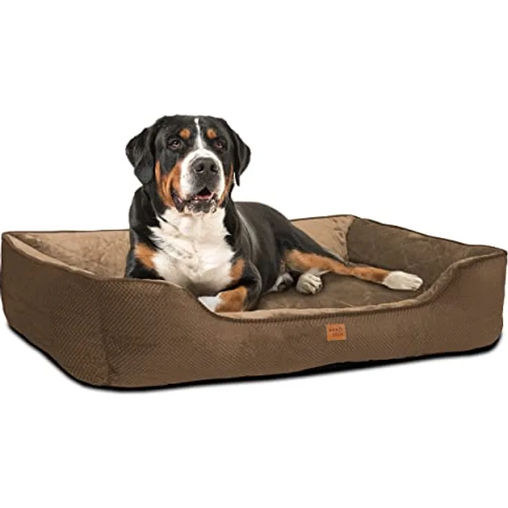 ib style® Happy Milo Hundebett | Körbchen für Hunde & Katzen | mit Reißverschluss | Größe: XL | Braun - Preisvergleich
