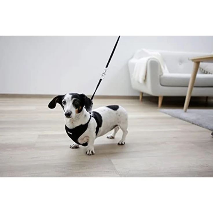 Welpengeschirr mit Leine, schwarz, 30 - 50 cm/10 mm – Bild 4