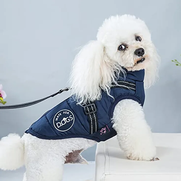 MATE FOR DOGS® Hundejacke Winterweste Jacken Hundemantel Hundepullover Haustier Weste mit Brustgeschirr Gurt gefüttert (L, blau)