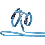 Nobby Katzengarnitur XL türkis