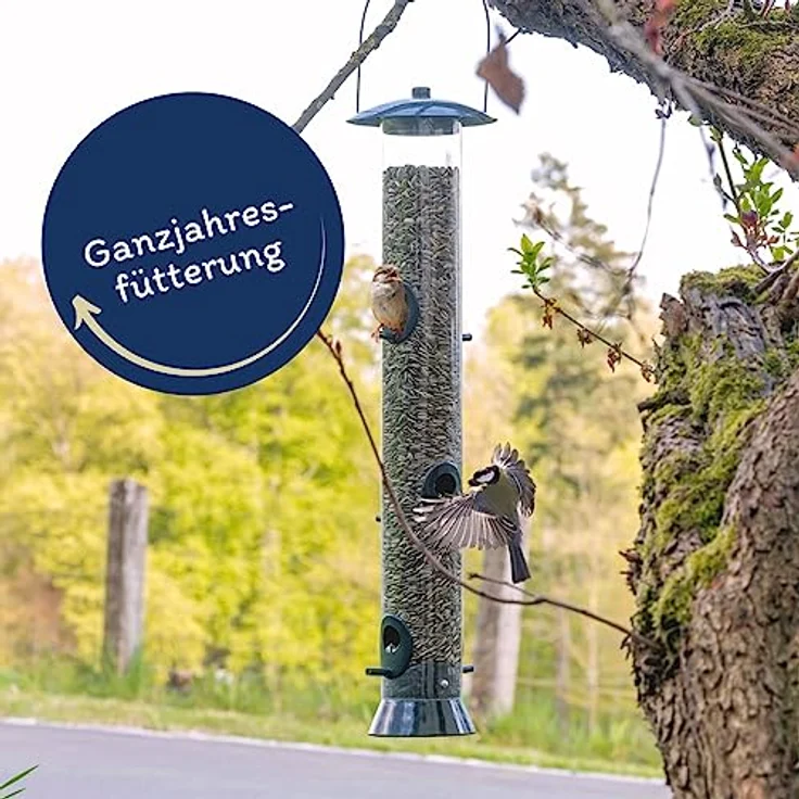Lyra Pet® | 25 kg Sonnenblumenkerne Gestreift | Wildvogelfutter für Sommer & Winter | Ideal für Freilebende Vögel | Vogelfutter für das Ganze Jahr | Ölreiches Streufutter | Kräftige & Gesunde Schnäbel - Preisvergleich – Bild 3