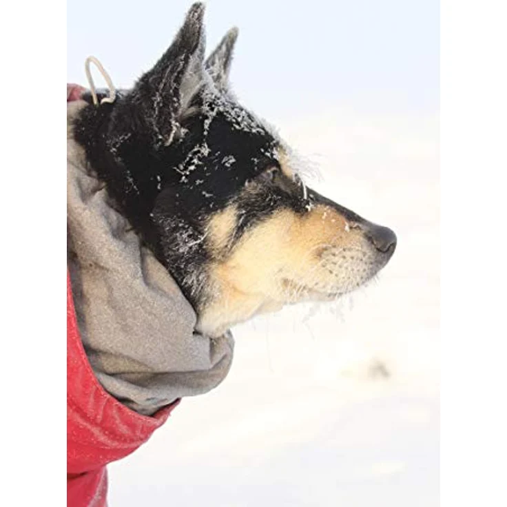 Hurtta Extreme Hundemantel, Winter, warm, 35 cm, Burgunderrot – Bild 4