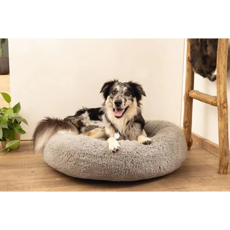 Beeztees Tierbett Jaxx Orthopädisches Hundebett grau 50 x 50 x 20 cm, Gelenkschonend und entspannend – Bild 2