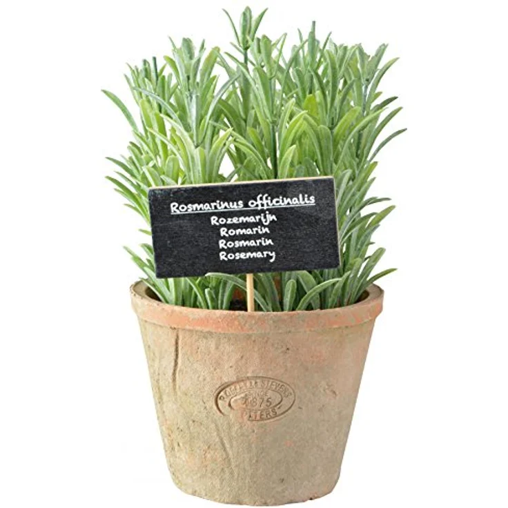 Esschert Design Kunststoffpflanze Rosmarin im Topf, Größe L, ca. 11 cm x 11 cm x 14 cm – Bild 2