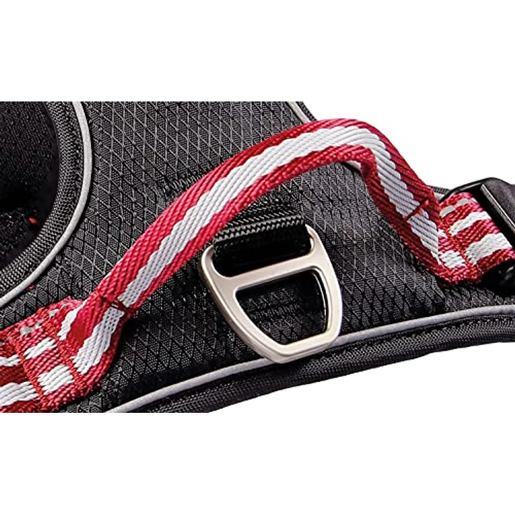 Wolters Active Pro Geschirr Gr. 6, 70-85 cm x 2,5 cm, champagner/silber, gut gepolstert mit reflektierenden Nähten, Halsband + Leine – Bild 7
